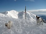 28 ... incontra la cagnolina del rifugio